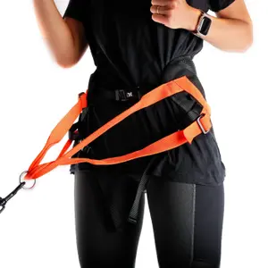 Baudrier pour chien Martin Sellier image-6