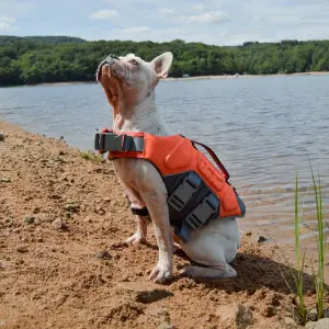 Dog safety vest Martin Sellier image-1