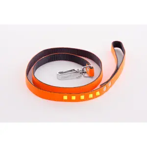 Fluorescent dog leash Martin Sellier image-0