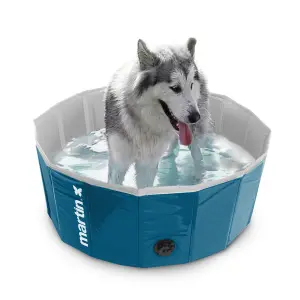 Dog pool Martin Sellier Pool image-1