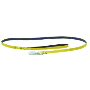 Laisse pour chien Martin Sellier Color image-0