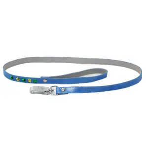 Hundeleine Martin Sellier Color image-0