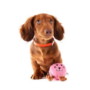 Hundeplüschtier Macaron Martin Sellier image-3