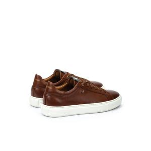 Tränare Martinelli Hastings image-3