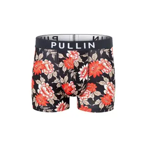 Boxer Pull-in master josephine image-0