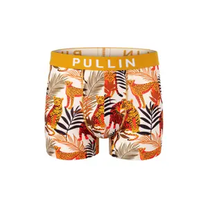 Boxer Pull-in master leo image-0