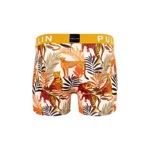 Boxer Pull-in master leo image-1