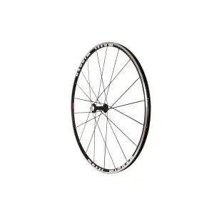 Fahrradrad Massi Winner