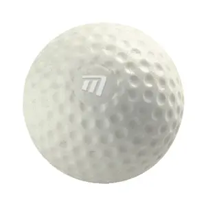 Oefengolfballen Masters (x6)