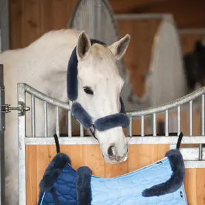 Juego de cabestro y correa para caballos Mattes image-3