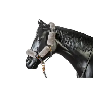 Ensemble licol et longe pour cheval Mattes image-0