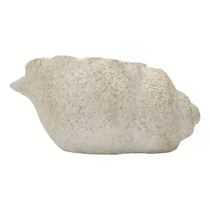 Βάζο Mauro Ferretti Shell B image-0