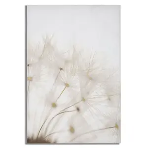 Vægdekoration malet tryk på stjerne indrammet i træ Mauro Ferretti Tin