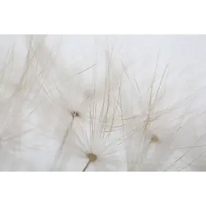 Vægdekoration malet tryk på stjerne indrammet i træ Mauro Ferretti Tin image-4