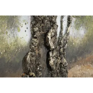Olive tree canvas wall art Mauro Ferretti C image-2
