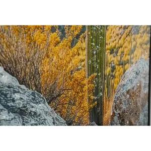 Wanddekoration Druck auf Stern mit Rahmen Kaktus B Mauro Ferretti Laccata image-4