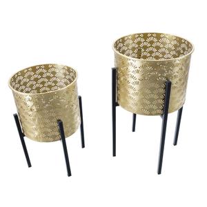 product/m/a/mauro-ferretti_142623000a_gold-black_2.jpg