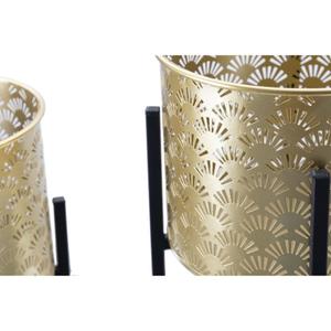 product/m/a/mauro-ferretti_142623000a_gold-black_3.jpg