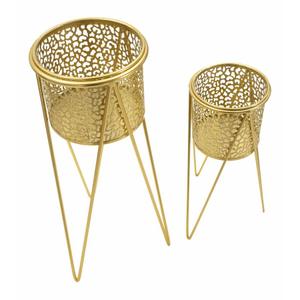 product/m/a/mauro-ferretti_1427850000_gold_4.jpg