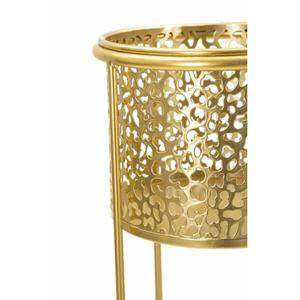 product/m/a/mauro-ferretti_1427870000_gold_3.jpg