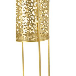 product/m/a/mauro-ferretti_1427870000_gold_4.jpg