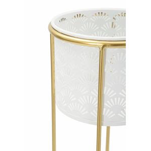 product/m/a/mauro-ferretti_1427910000_gold-white_3.jpg
