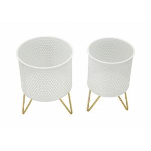 product/m/a/mauro-ferretti_1427920000_gold-white_2.jpg