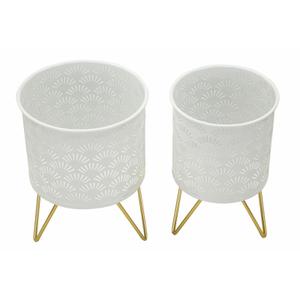 product/m/a/mauro-ferretti_1427930000_gold_2.jpg