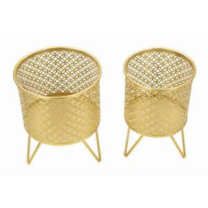 product/m/a/mauro-ferretti_1427940000_gold_2.jpg