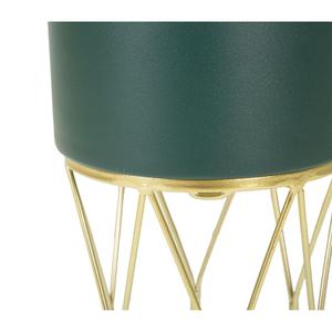 product/m/a/mauro-ferretti_1428580000_green-gold_3.jpg