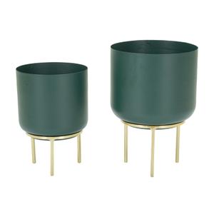 product/m/a/mauro-ferretti_1428610000_green-gold_2.jpg