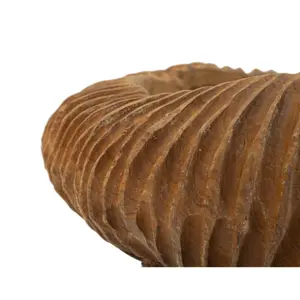 Cendrier en Bois Mauro Ferretti Garit image-4