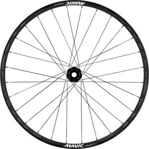 Roue avant Mavic Deemax DH INT29BST20 image-0