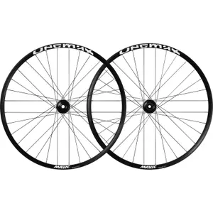 Coppia di ruote Mavic Deemax Park INT29SPBST20HG image-0