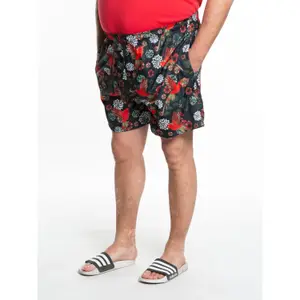 Short de bain Maxfort Max Colibri image-2
