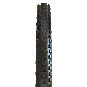 Soft tire Maxxis Dissector MaxxTerra / Exo + / Tubeless Ready image-1