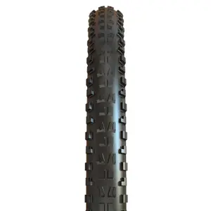 Ευλύγιστο λάστιχο Maxxis Minion DHF MaxxTerra / Exo / Tubeless Ready image-1