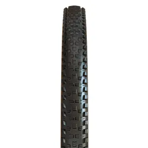 Soft tire Maxxis Forekaster MaxxTerra / Exo / Tubeless Ready image-1