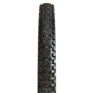 Pneu souple Maxxis Assegai MaxxTerra / Exo + / Tubeless Ready 60 TPI
