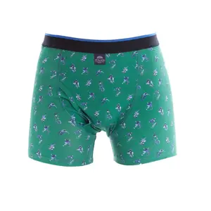 Boxer McAlson Skate parc