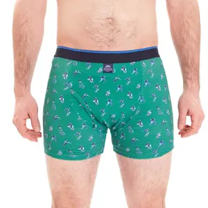 Boxer McAlson Skate parc image-2