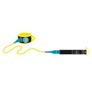 Surfkoppel MDNS image-1