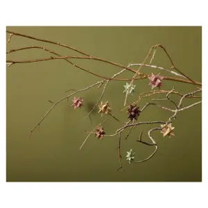 Star Medusa-Copenhagen Polyrésine image-1