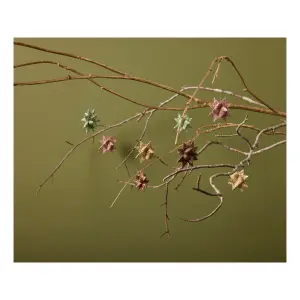 Star Medusa-Copenhagen Polyrésine image-1