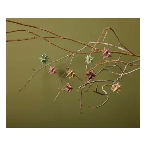 Star Medusa-Copenhagen Polyrésine image-1