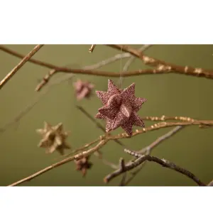 Star Medusa-Copenhagen Polyrésine image-2