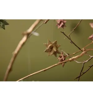 Star Medusa-Copenhagen Polyrésine image-1