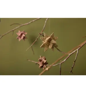 Star Medusa-Copenhagen Polyrésine image-2