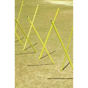 Slalomstangen Megaform (x4)