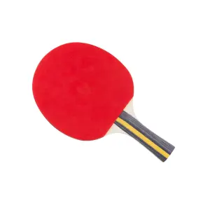 Racket för bordtennis Megaform Silver image-0